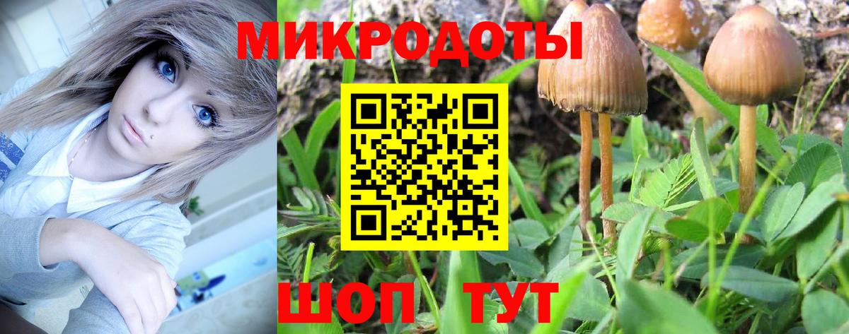 Псилоцибиновые грибы GOLDEN TEACHER  Вход с VPN  Гусев 